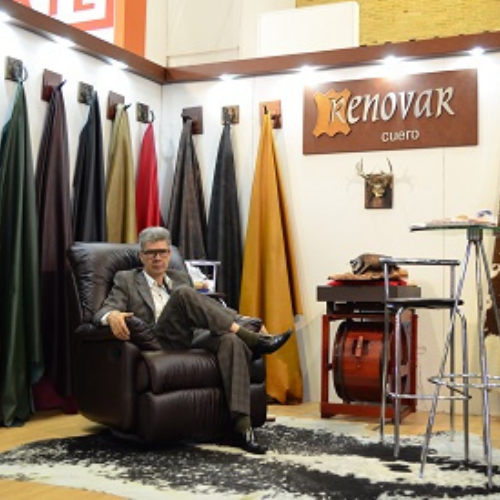 Renovar Cuero